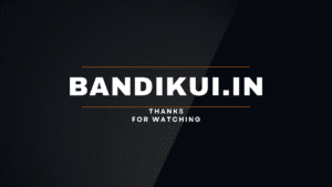 bandikui